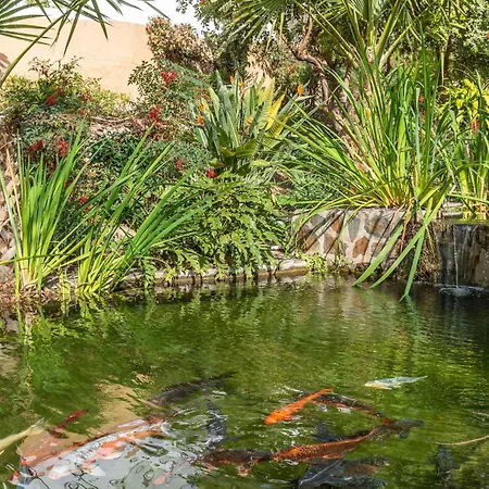 Апартаменты Tetuan 43 - Oasis *