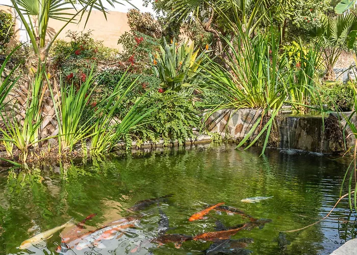 Апартаменты Tetuan 43 - Oasis *